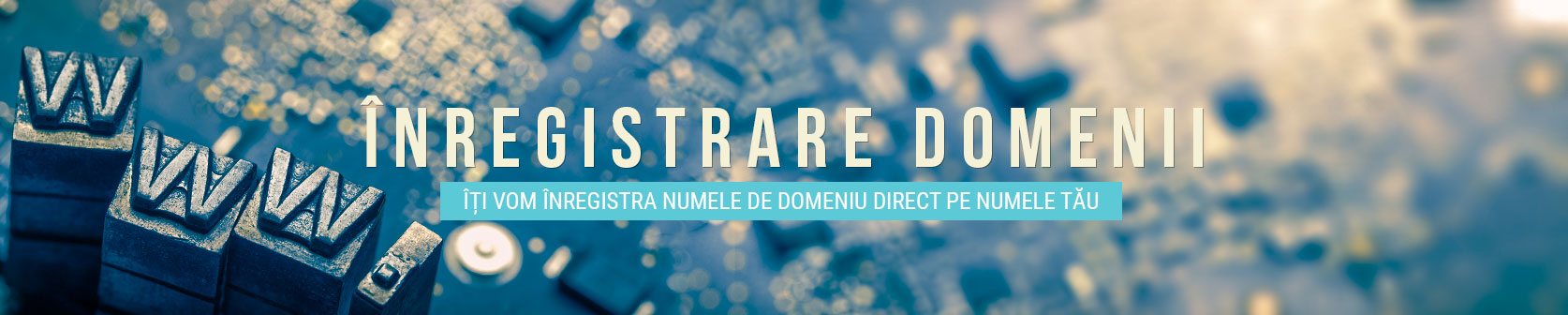 Inregistrare Domenii